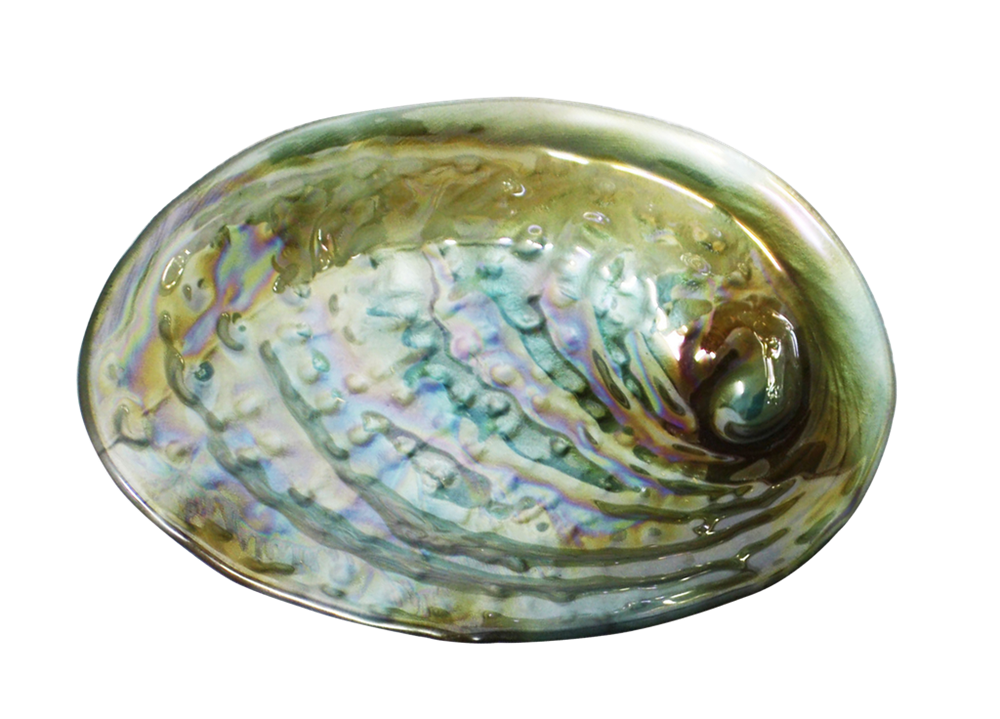 Moana Rd Paua Bowl - Medium