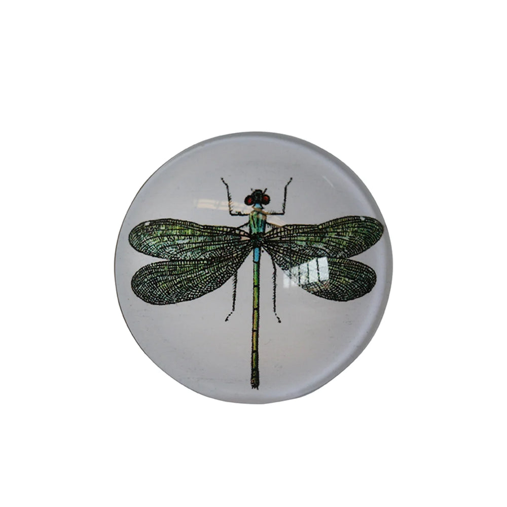 Dragonfly Glass Magnets